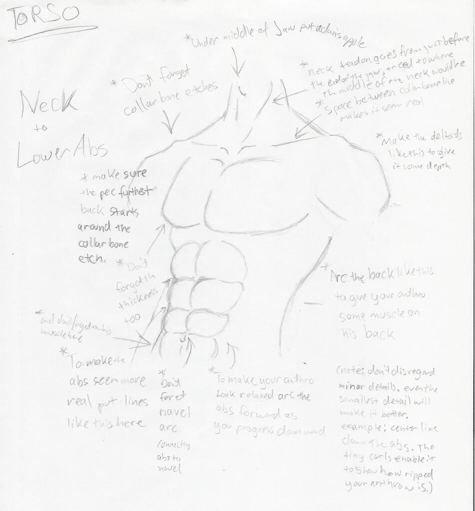 ıl___▒► &#91;Lounge&#93; Anthro/Furry | Art of Animals with Human Features ◄▒___lı