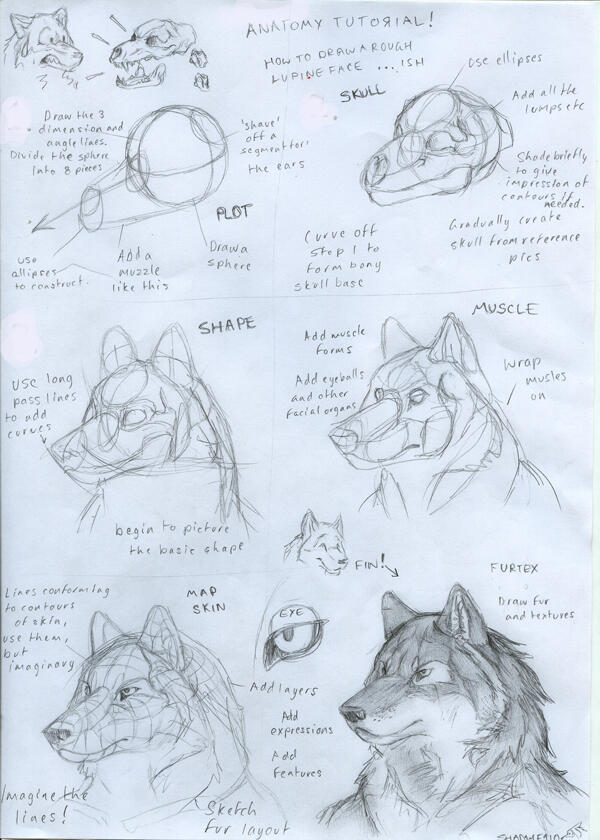 ıl___▒► &#91;Lounge&#93; Anthro/Furry | Art of Animals with Human Features ◄▒___lı