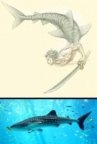 Kalau Karakter One Piece Dianalogikan Dengan Ikan
