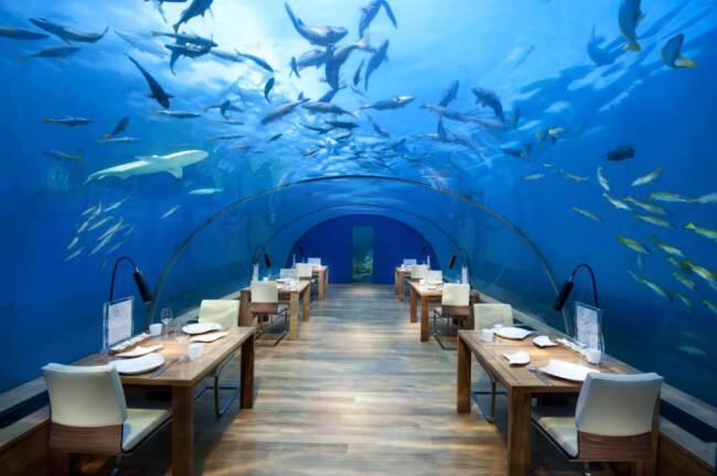 10 Restaurants Dengan Tempat Yang Unik &#91;Must See!&#93;