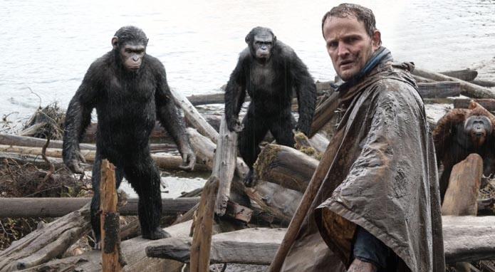 Monyet VS Manusia. Siapa yang Bakal Menang Kali Ini??