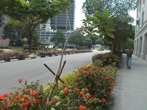 poto poto singapore