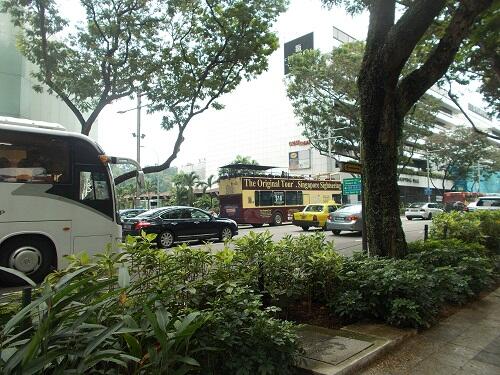 poto poto singapore