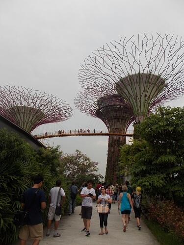 poto poto singapore