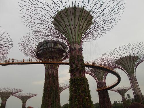 poto poto singapore