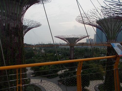 poto poto singapore