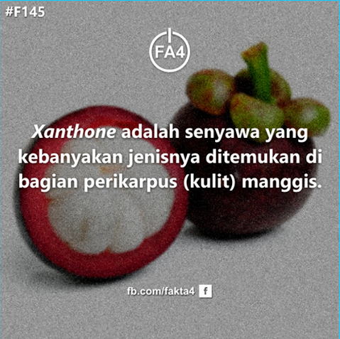 &#91;Bukan Iklan&#93; Ini dia senyawa yg ada pada kulit manggis