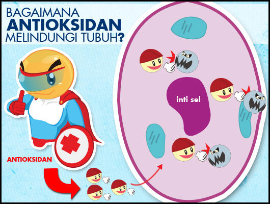 &#91;Bukan Iklan&#93; Ini dia senyawa yg ada pada kulit manggis