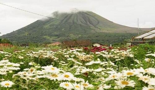 Wisata Kota Tomohon
