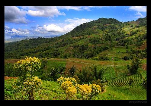 Wisata Kota Tomohon