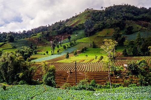 Wisata Kota Tomohon