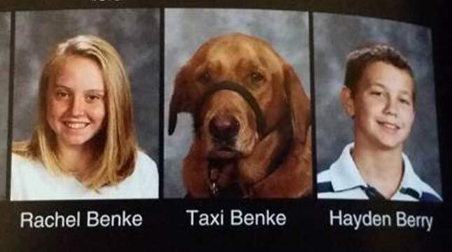 Anjing Ini Mejeng di Buku Tahunan