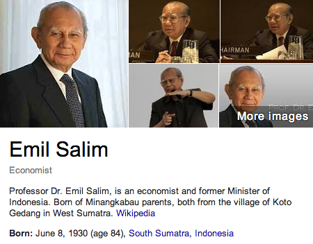 Emil Salim Benarkan Ada Mafia Minyak di RI