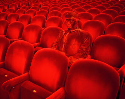 Invisible Man Ternyata ada