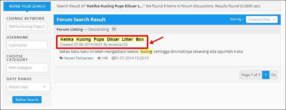 Ketika Kucing Pups Diluar Litter Box