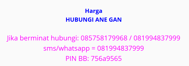 penguat signal, spidol, diet gak jelas kenapa ada di setiap halaman