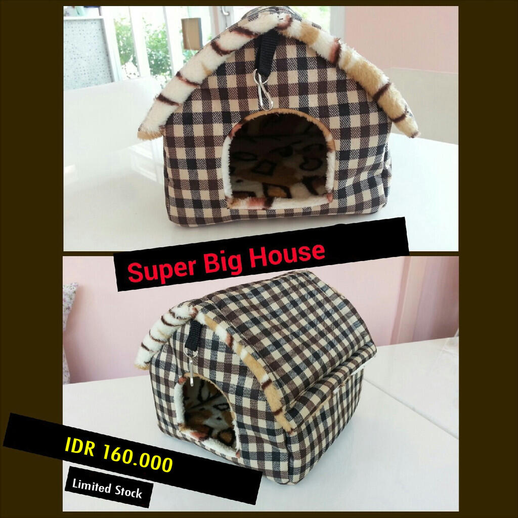 JUAL Pouch Sugar Glider Impor Lucu dan unik