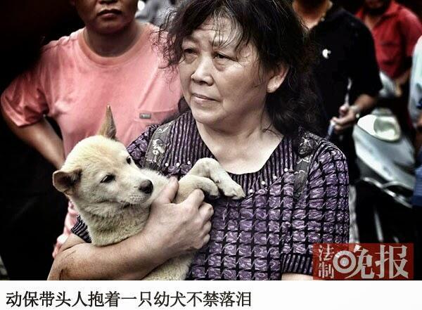 Trik Kotor, Penjual Siksa Anjing Agar Dibeli Pecinta Anjing