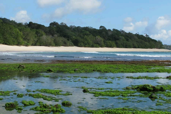 Destinasi &amp; Pantai Paling Populer di Banyuwangi