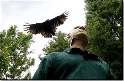 &#91;WoW&#93; Kecerdasan yg dimiliki burung Gagak + Video