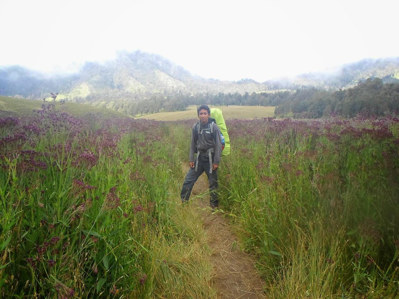 (Single Trip) Menuju Puncak Tertinggi Jawa