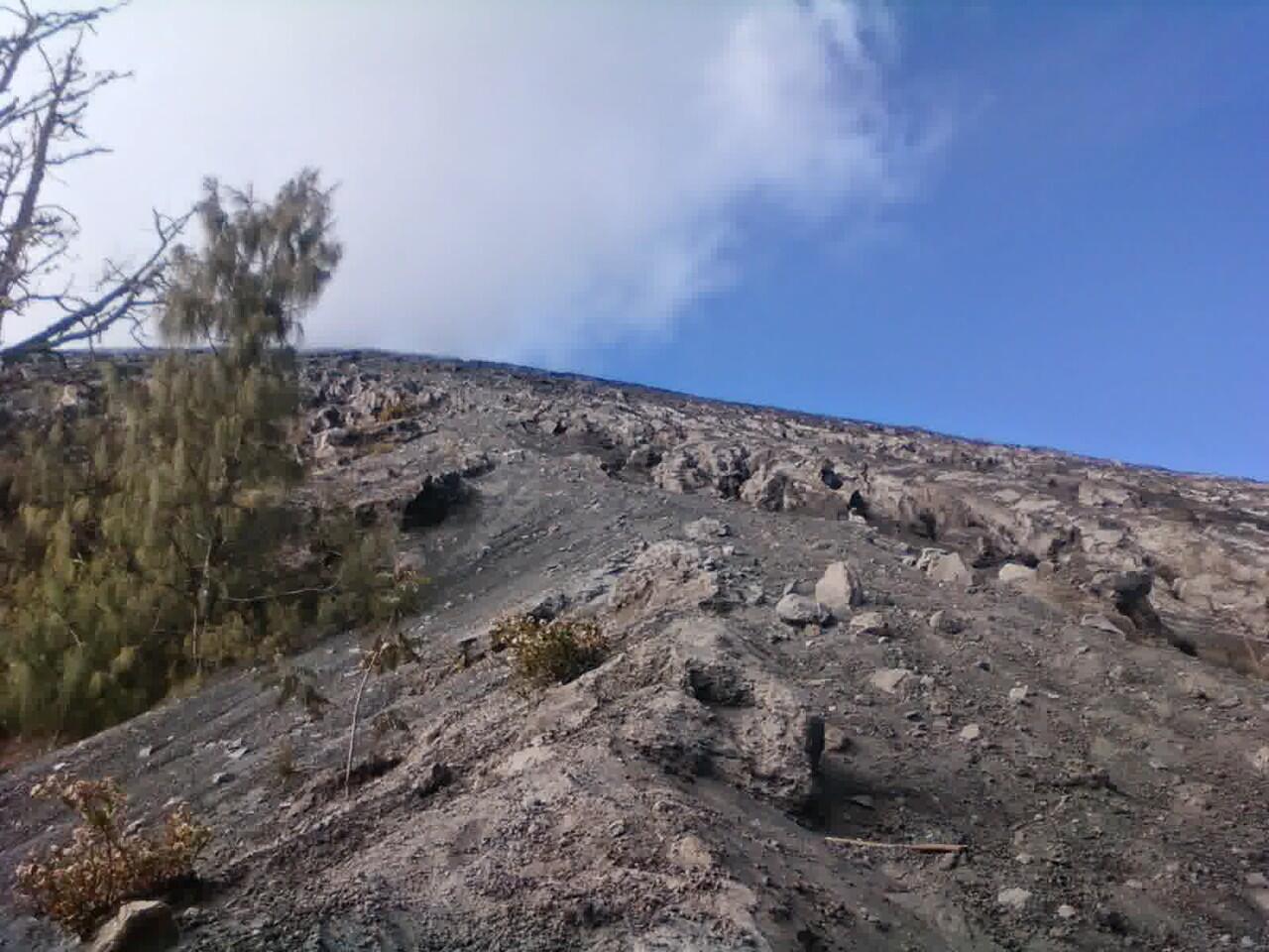 (Single Trip) Menuju Puncak Tertinggi Jawa
