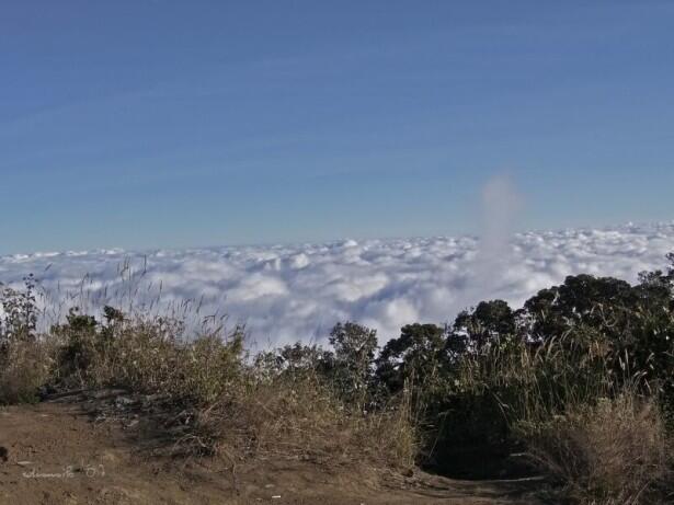 Hal yang Agan rasain ketika Naik Gunung 