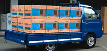Kredit pick up DP MURAH COLT T120SS