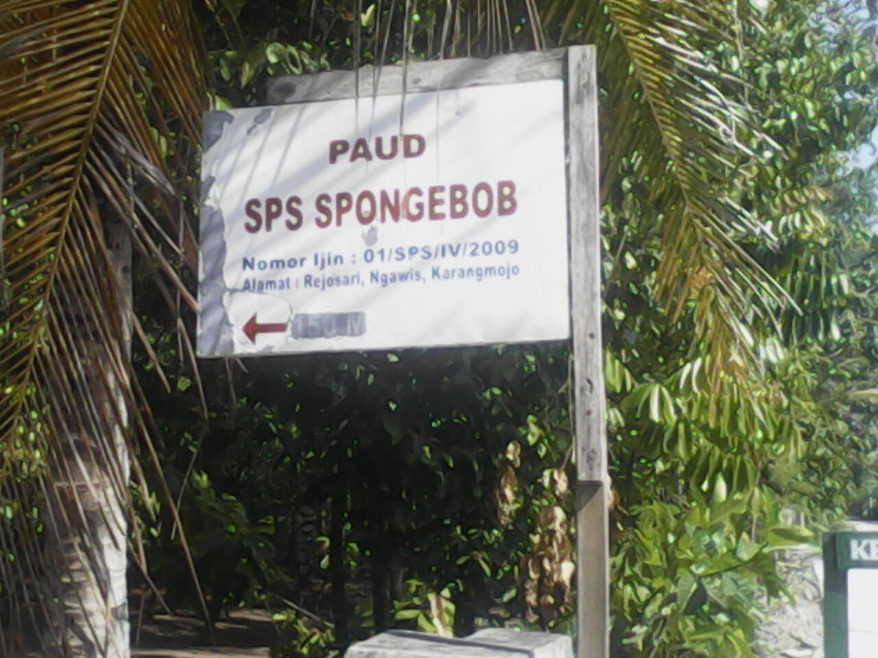 Baru tau,ternyata Bikini Bottom punya PAUD