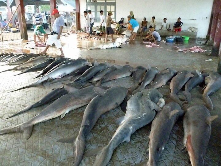 Bagi Mereka, Kesuksesan Tidak Selalu Berarti Gundukan Uang