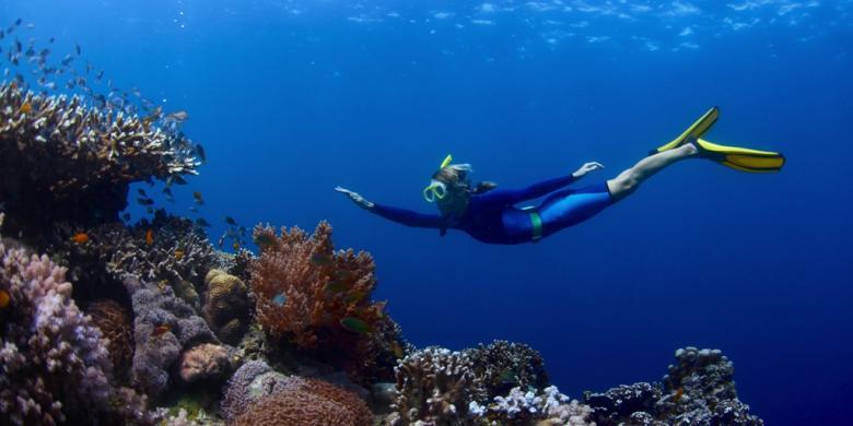 Serasa "Terbang" di dalam Laut