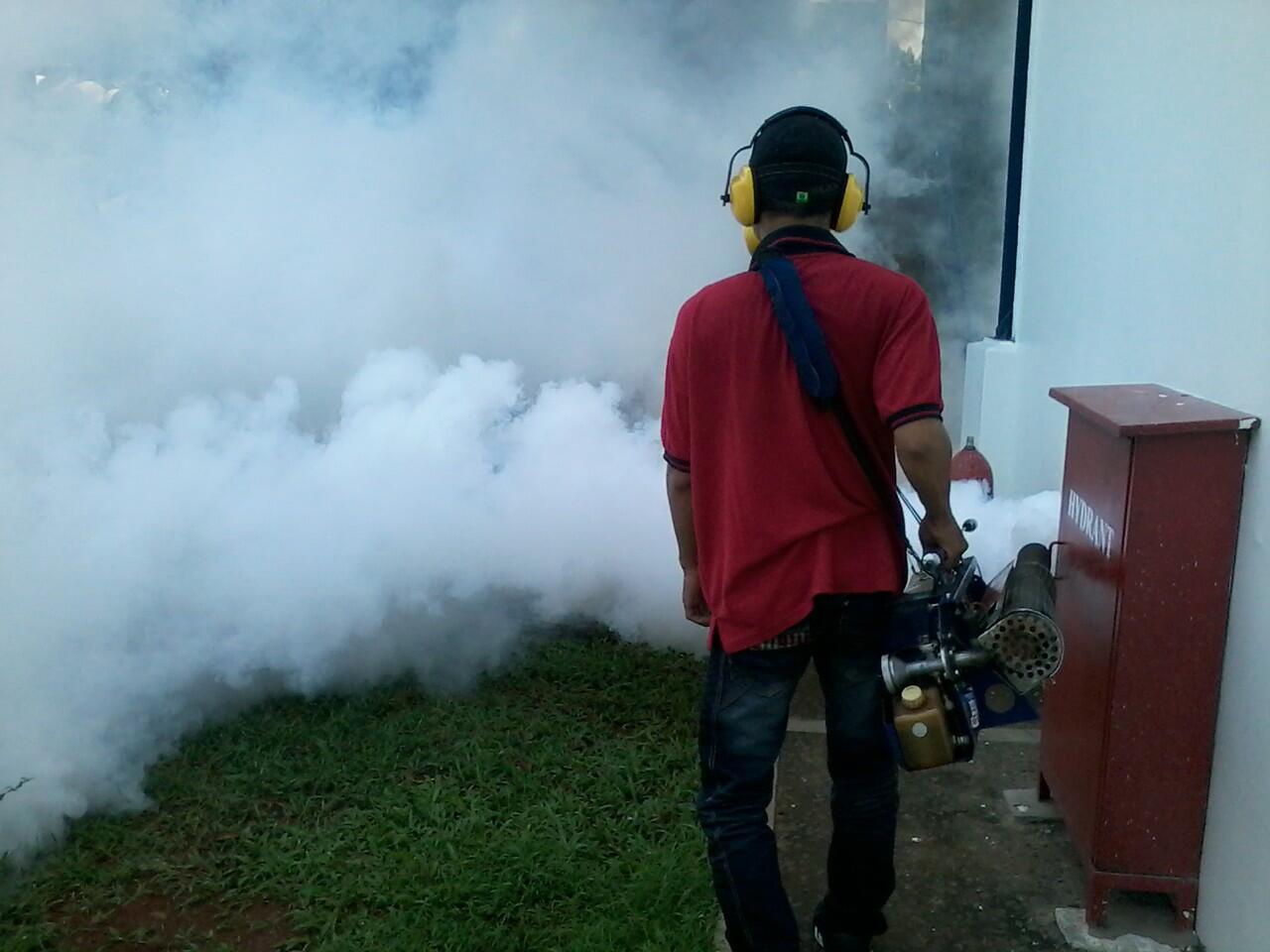 jasa fogging nyamuk DBD dan Cikungunya