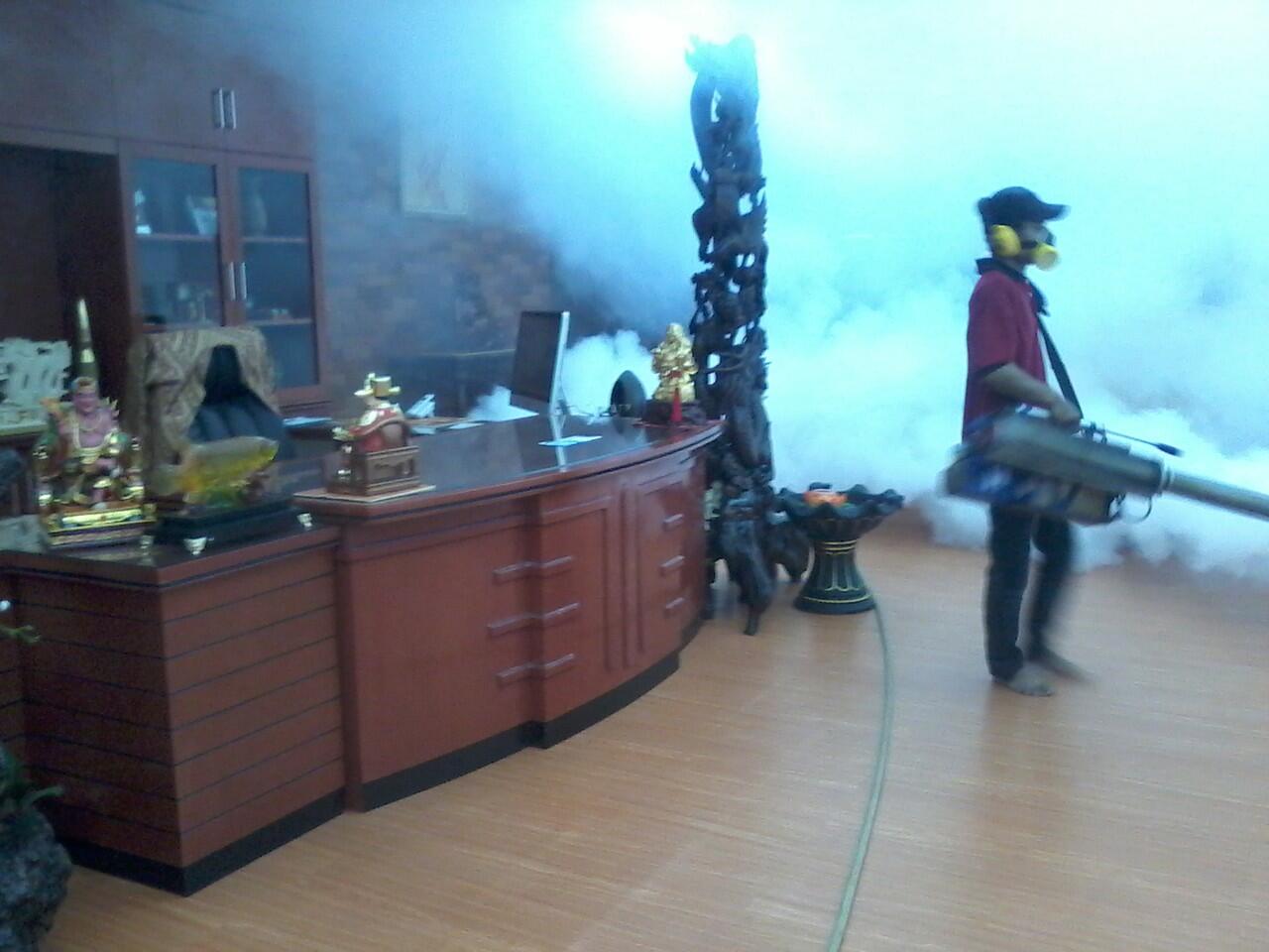 jasa fogging nyamuk DBD dan Cikungunya