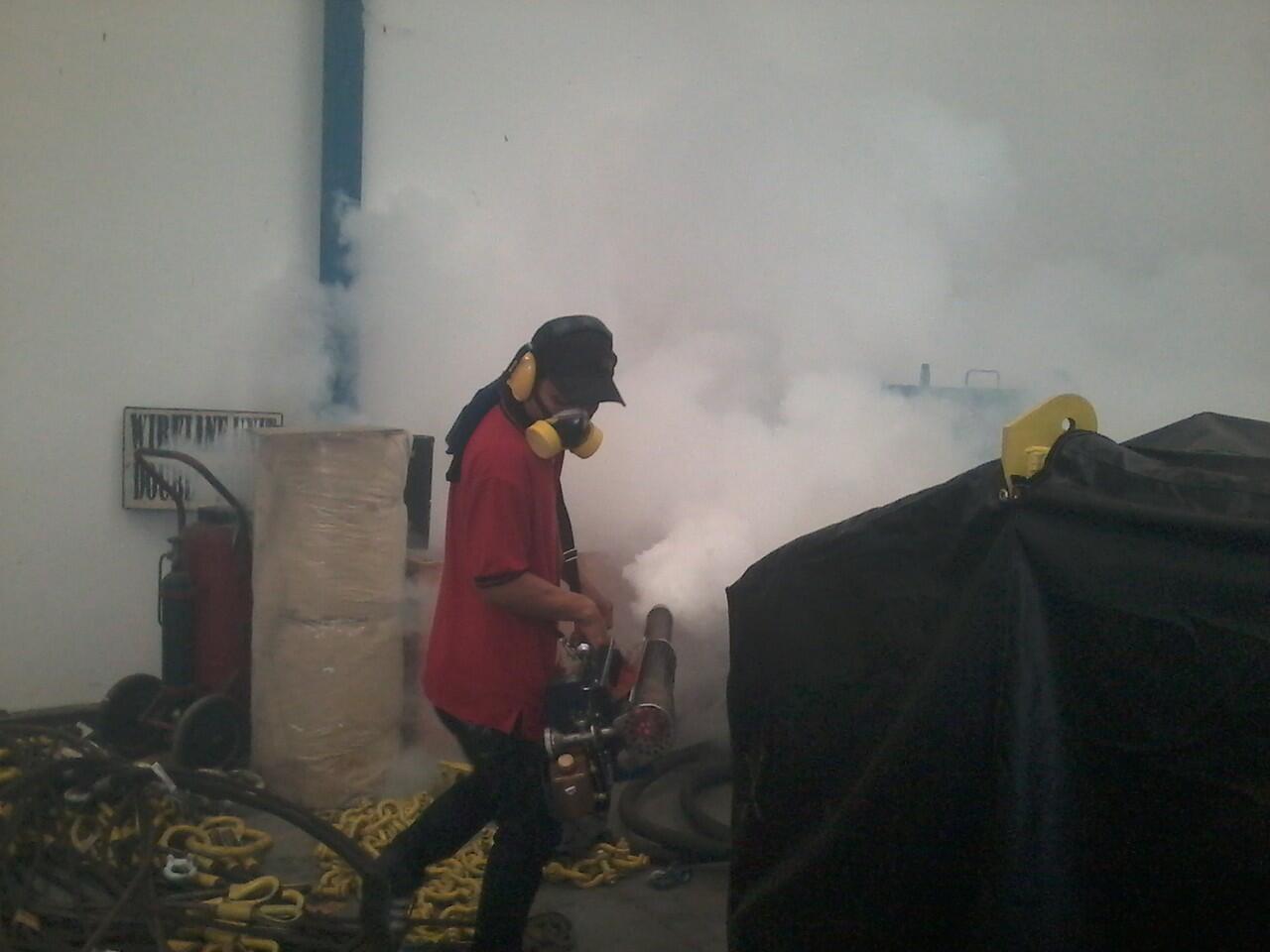 jasa fogging nyamuk DBD dan Cikungunya