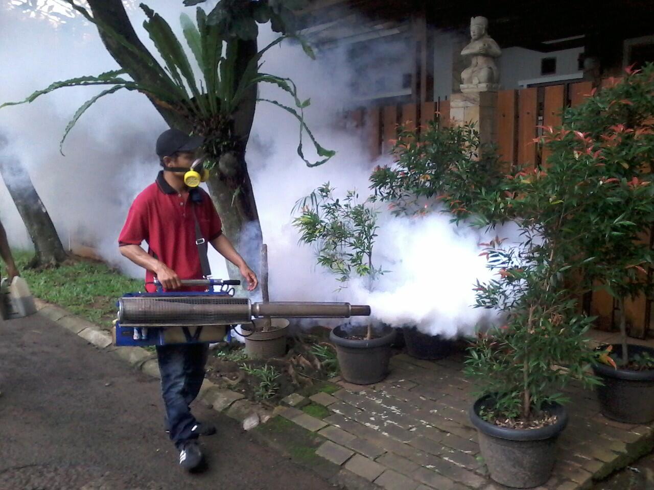 jasa fogging nyamuk DBD dan Cikungunya