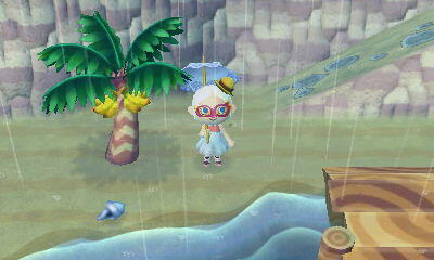 &#91;NINTENDO 3DS&#93; Animal Crossing: New Leaf 
