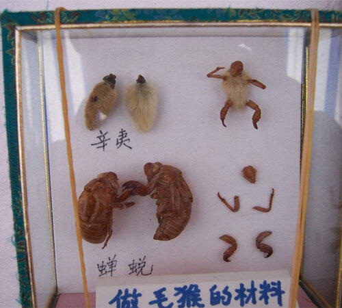 Hairy Monkey (Mao Hou) Kerajinan tangan unik dari China