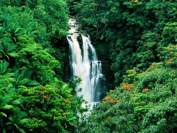 Mengenal &quot;Polynesia&quot; negara-negara di Samudra Pasific