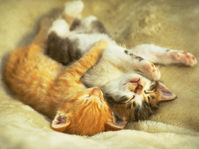 Tidur di Bulan Ramadhan, ??? Ibadah, ? Apa Iya ?