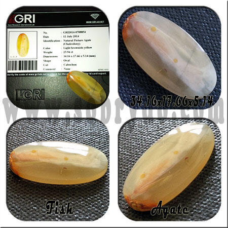Natural Picture Agate Akik Gambar Ikan #468