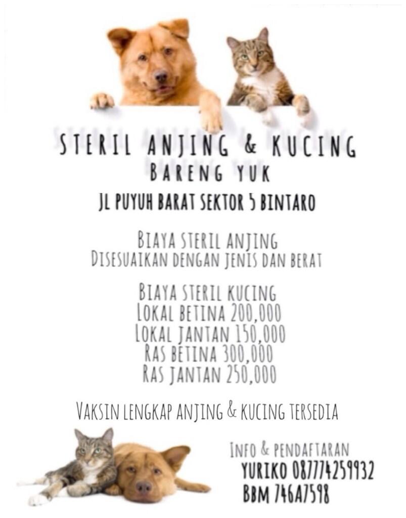 EVENT SPAY N NEUTER | 23 JULI 2014 | BINTARO DAN SEKITARNYA