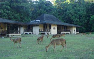 &#91;AJAKAN&#93; Sharing cost Trip Pulau Peucang Banten 22-24 Agustus 2014 Start CIREBON