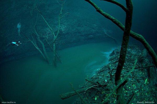  selain mikroskop, Nabi Muhammad SAW juga sudah Scuba Diving &#91;yg hobi diving masuk&#93;