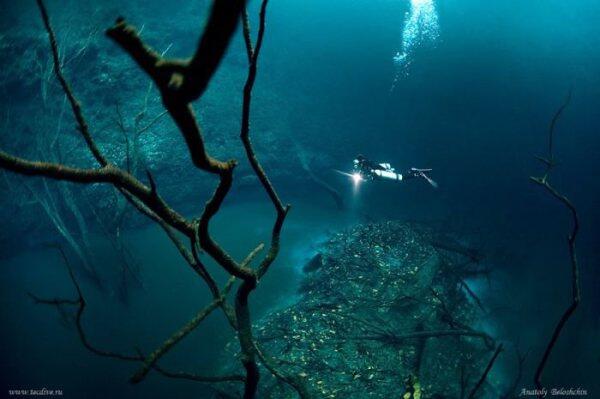  selain mikroskop, Nabi Muhammad SAW juga sudah Scuba Diving &#91;yg hobi diving masuk&#93;