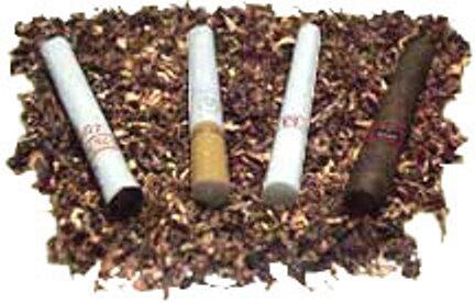 Sejarah singkat rokok di Indonesia Biar Kita Mengenal Sejarahnya Ayo Masuuuup !!!!!!!