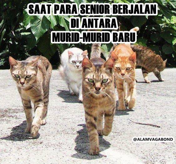 Yang Dirasakan Ketika Hari Pertama Masuk Sekolah Lagi