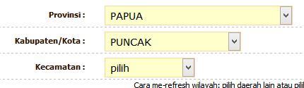 Indikasi Kecurangan di Papua
