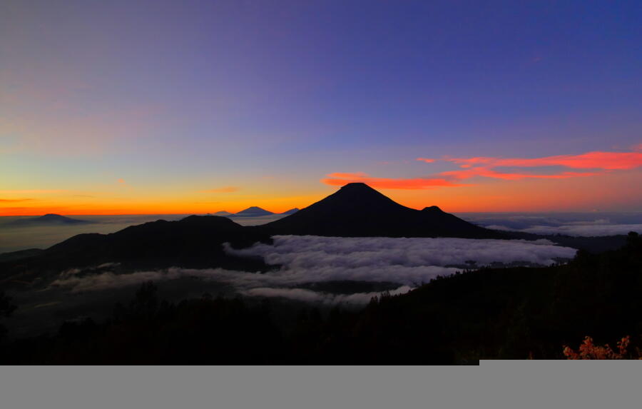 DOMBAT domba batur DIENG jinak dan lucu
