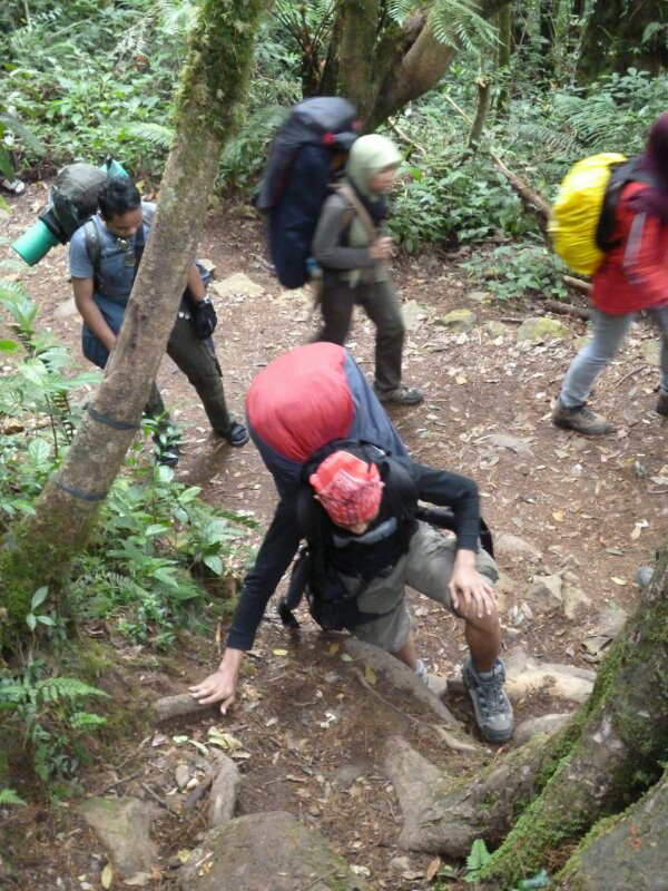 2958 mdpl Mt Gede-Pangrango