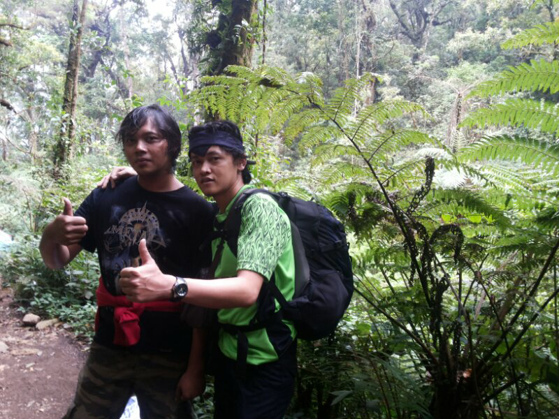 2958 mdpl Mt Gede-Pangrango